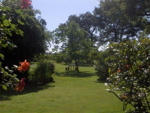 Bed and Breakfast Hourcazet Eauze Екстер'єр фото